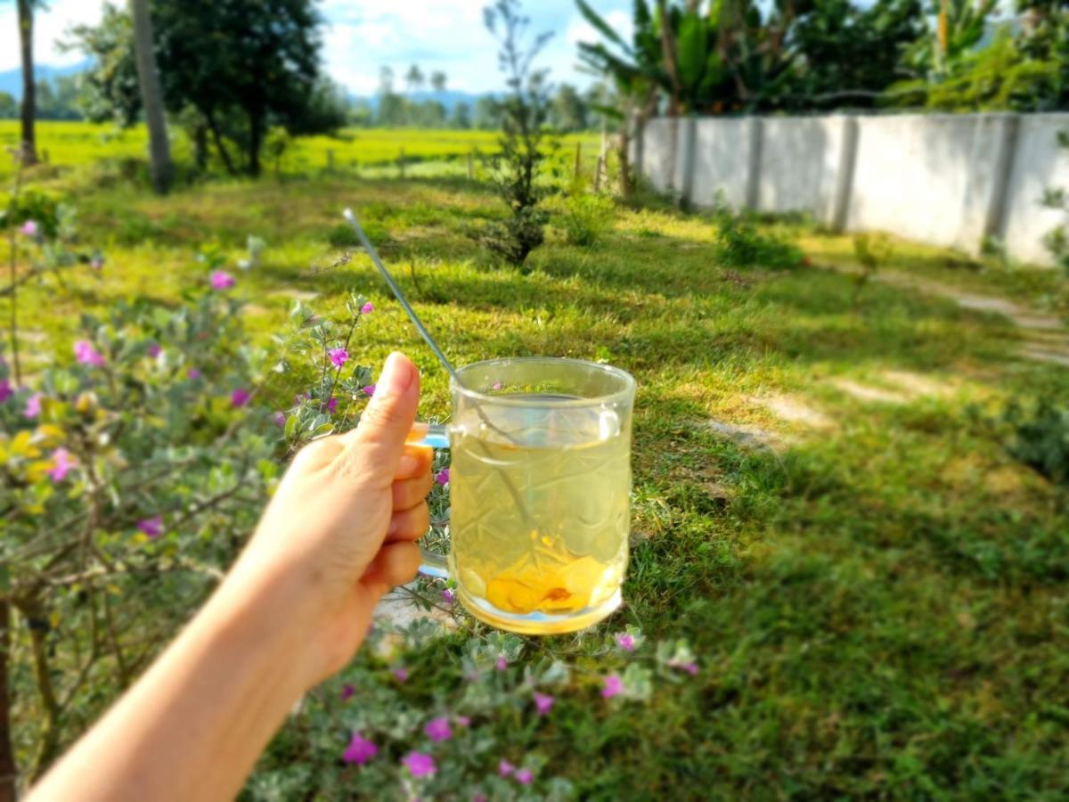 Katie'S Homestay Dong My Екстер'єр фото